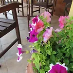 Affittacamere L’ Angolo Degli Ortaggi Sassari