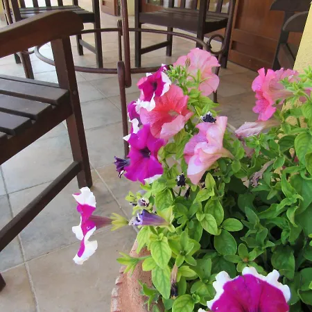 Guest house L' Angolo Degli Ortaggi Sassari