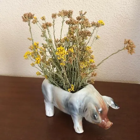 L' Angolo Degli Ortaggi