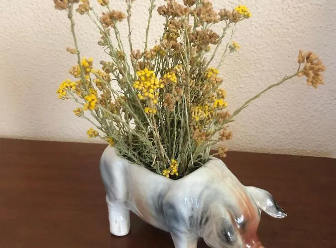 L' Angolo Degli Ortaggi